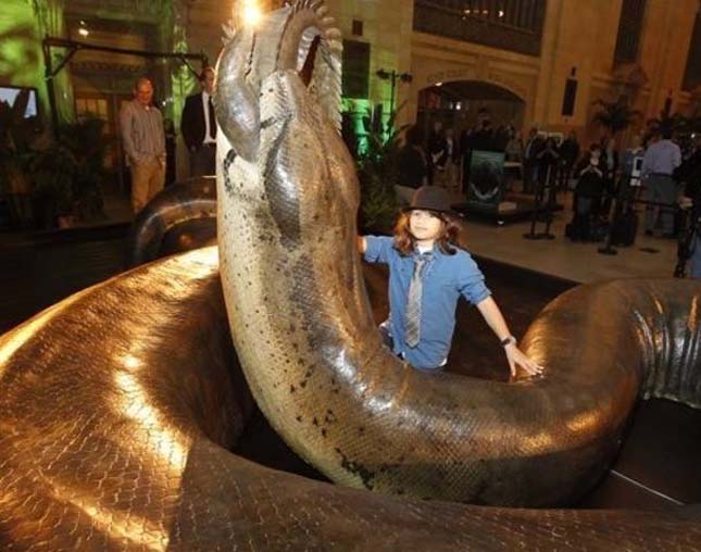 Az óriási Titánoboa minden kígyók királya