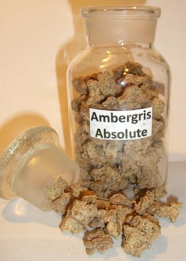 Ambergris Absolute