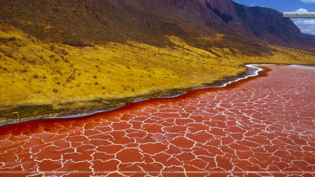 Soda-Formations-on-the-Surface-of-Lake-Natron-Tanzania