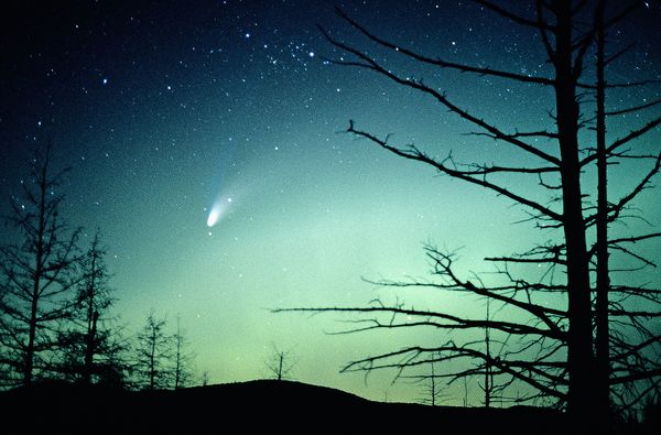 comet-impact-seen-on-earth-hale-bopp_72469_600x450