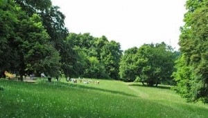 normafa_lejto_nyaron