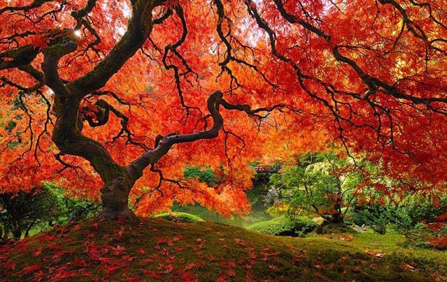 Csodás őszi képek, melyeket mostanában megélünk