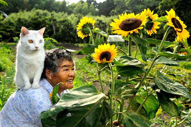 Egy cica és a nagyi mindennapjai – fotósorozat