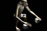 Elméjükkel mozgattak virtuális karokat majmok egy kísérletben