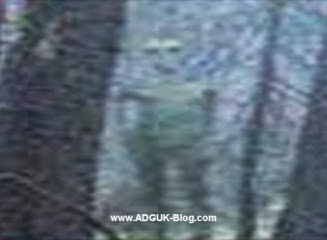 Földönkívüli lényt filmeztek le egy bulgáriai erdőben? - képek és videó