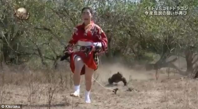 Japán nő nyers húst kötözött magára, hogy egy komodói sárkány megkergesse! – videó