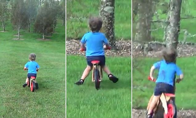 Az „év apukája”: kiröhögte a fának bicikliző gyerekét! – videó