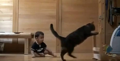 Hihetetlen! Macska tanítja járni a gyereket! – videó