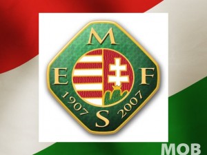 mefs-logo_640x480
