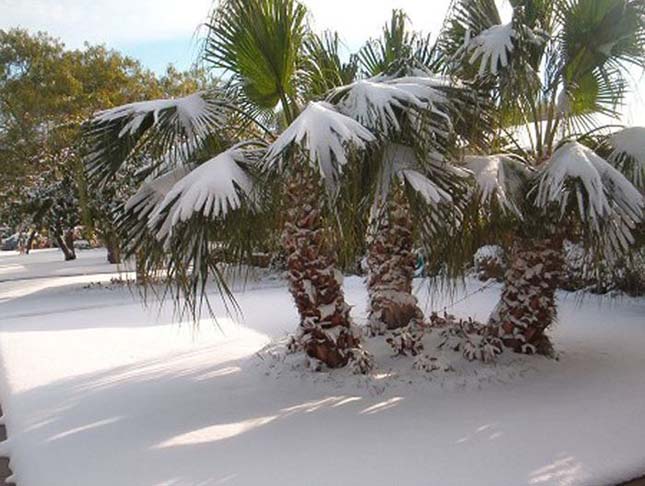 Egyiptomban 112 éve nem havazott