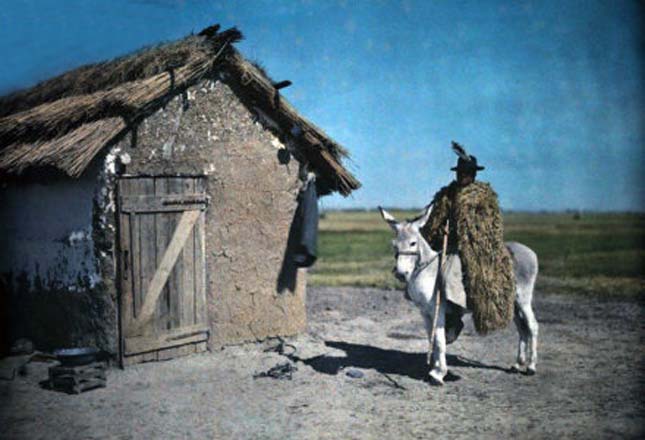 A swineherd with fur cape sits on a donkey outside a thatched hut