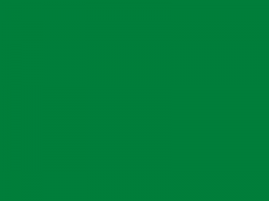 800px-F1_green_flag.svg
