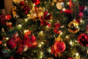 A több nap után is friss karácsonyfa titka