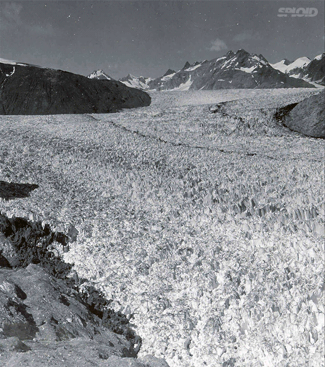Muir gleccser, Alaszka, 1941. augusztus 2004. augusztus