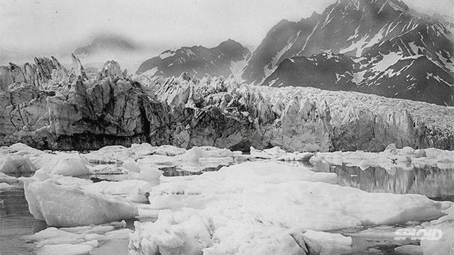Pedersen-gleccser, Alaszka, 1917. nyár – 2005. nyár