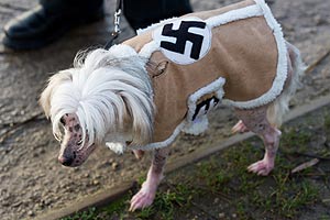 Náci ruhát adott kutyájára a Hitler-rajongó férfi! – fotók