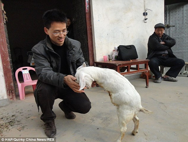 Kétlábú kecskét vásárolt meg egy rákos férfi