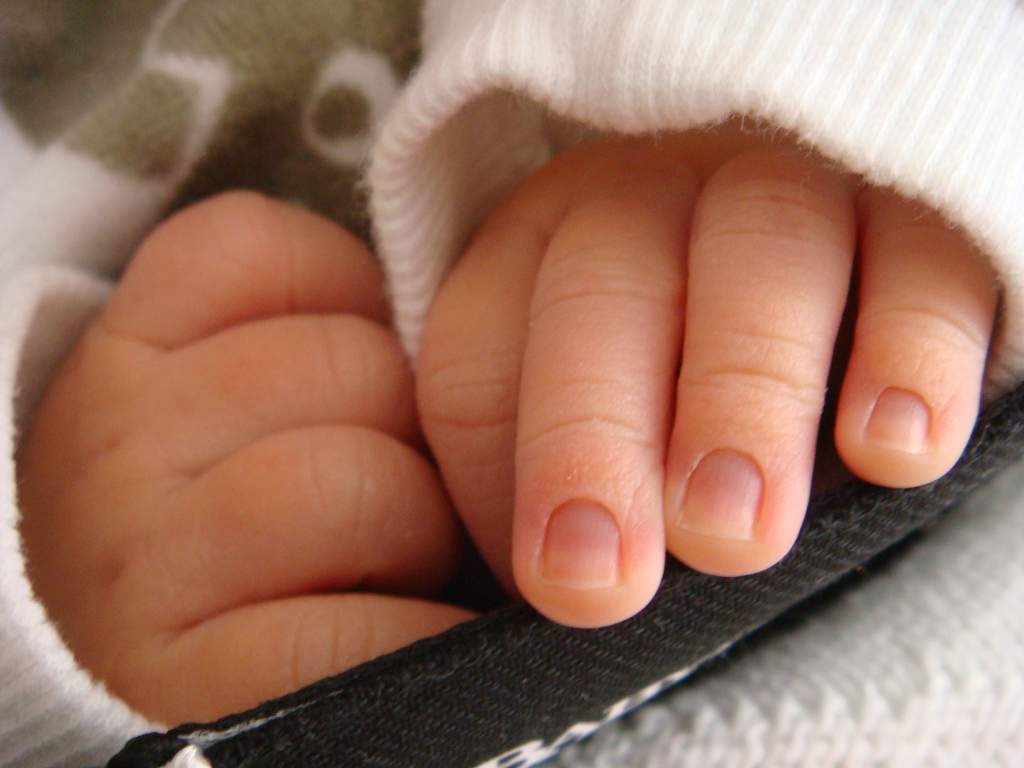 11 hónapos magyar baba szervei mentették meg két nő életét