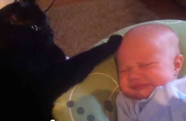 Elképesztő! Cica altatja el a kisbabát – videó!