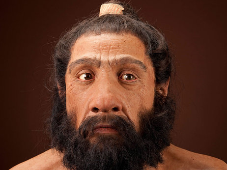 neanderthal1-a0dda35829bdf3dd909242f433590598823bf105-s3-c85