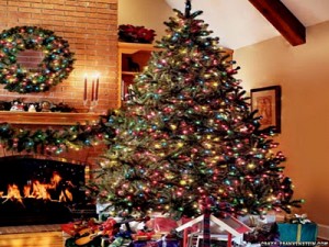 warm-and-cozy-christmas-tree