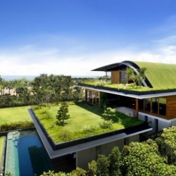 zöld-tetős-ház