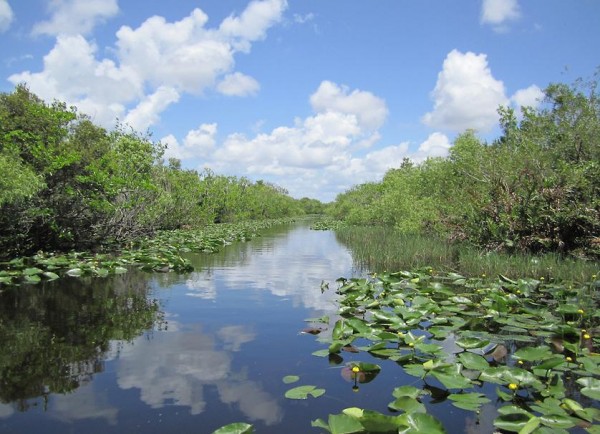 Everglades Nemzeti Park