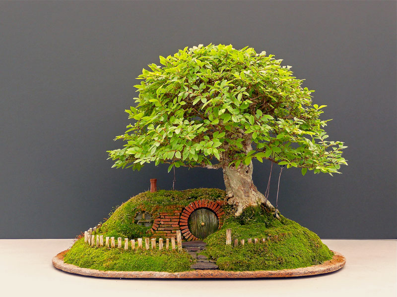 Tolkien világa bonsai-al