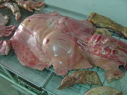 Kittiwat Unarrom (17)