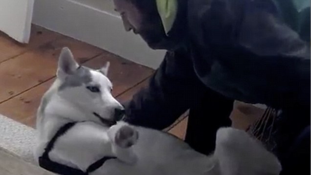 a4443_video-undefined-1AAE9AA700000578-769_636x358