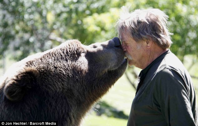 Szívet melengető kapcsolat egy házaspár és medvéik között