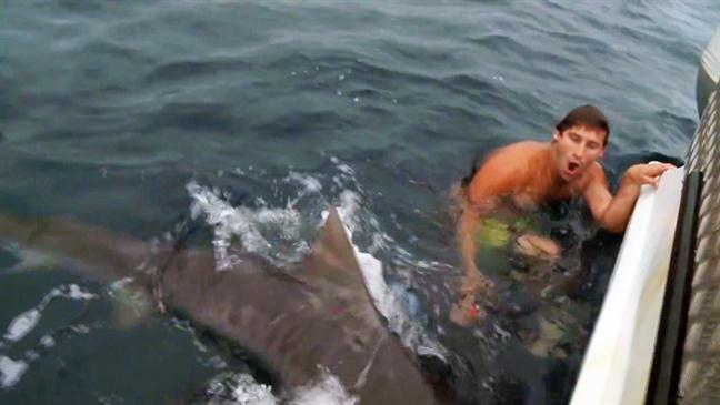 Kis híján elkapta a cápa az ausztrál férfit! – videó