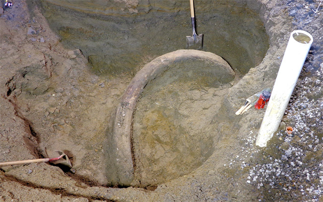 Jégkorszaki mamutagyarat találtak egy építkezésen! -  videó