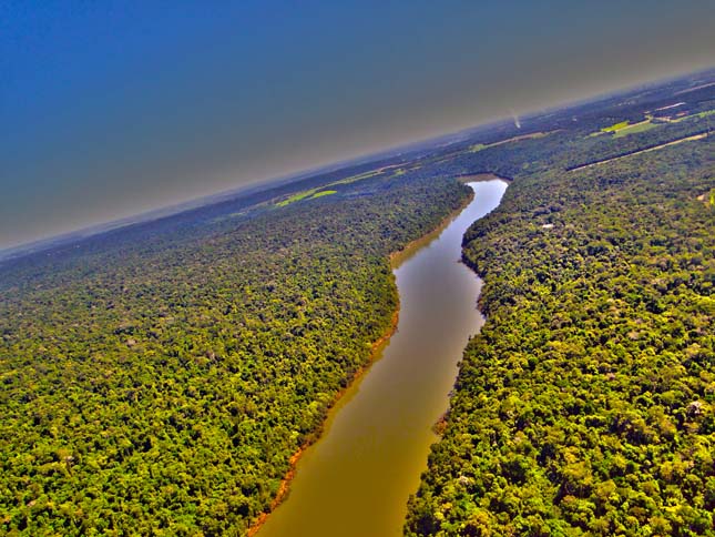 Pantanal a világ legdúsabb növény-és állat ökoszisztémája