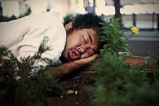 A munka fáradtságában bárhol elalszanak a japán dolgozók