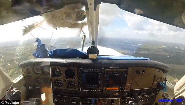 Lenyűgöző videó arról, ahogy egy madár becsapódik a pilótafülkébe