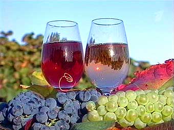 Jelentősen nő a szőlő- és borágazat támogatása