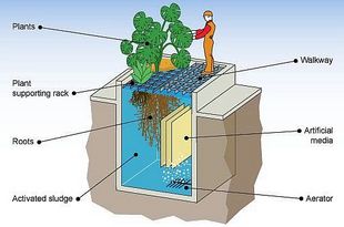 Átadták Szarvason az új szennyvíztisztítót
