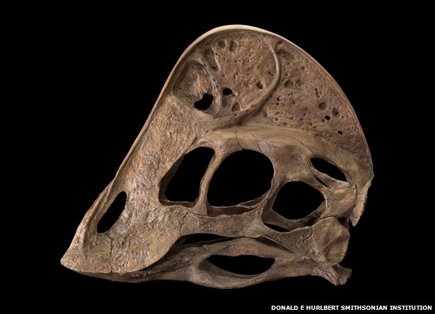 _73596695_nhb2013-00434