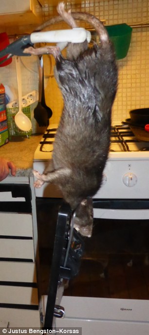 article-2589961-1C95299D00000578-511_306x688