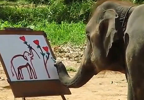 Magát festette le az elefánt! –videó