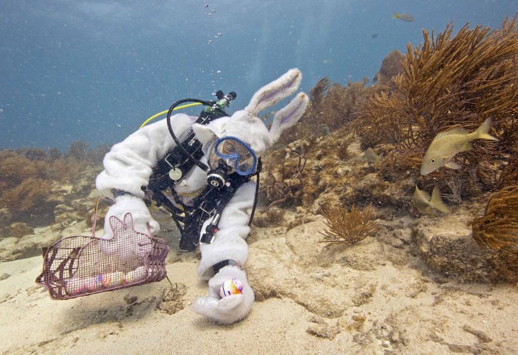 Handout of Slate, dressed as a scuba-diving Easter bunny, placing hard-boiled eggs on the sea floor in the Florida Keys National Marine Sancutary off Key Largo