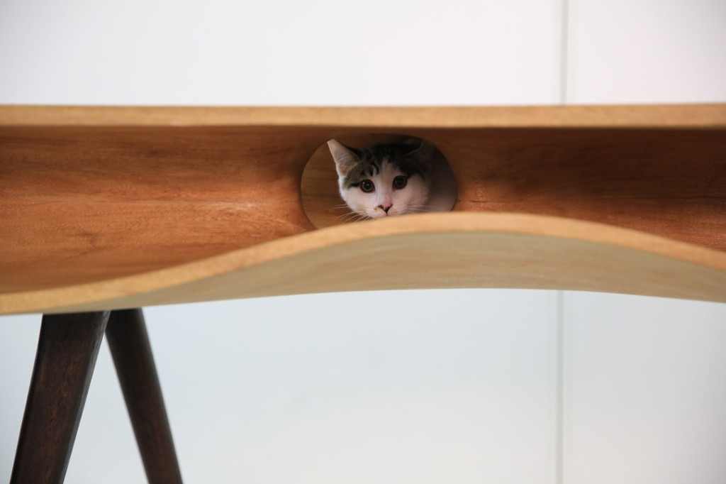 Modern-table-for-cats-6 (1)
