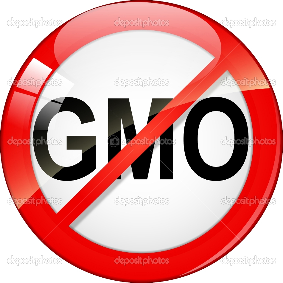 FM: GMO-szennyezett vetőmagot zárolt a hatóság
