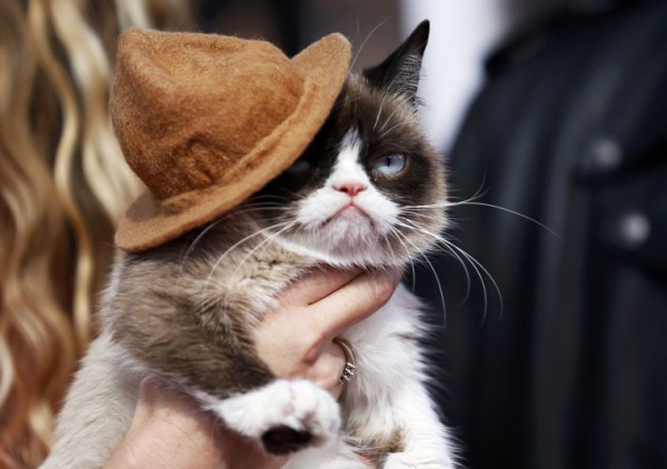 Grumpy cat arrives at the 2014 MTV Movie Awards in Los Angeles