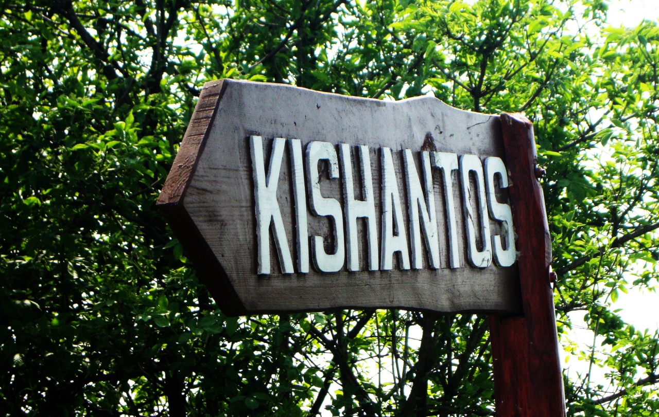 Kishantos - Az új bérlők kezdték el beszántani a korábbi bérlők által elvetett növényeket Kishantoson