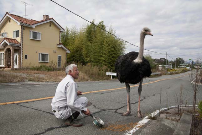 "Boss" the ostrich meets Naoto Matsumura the only man living in