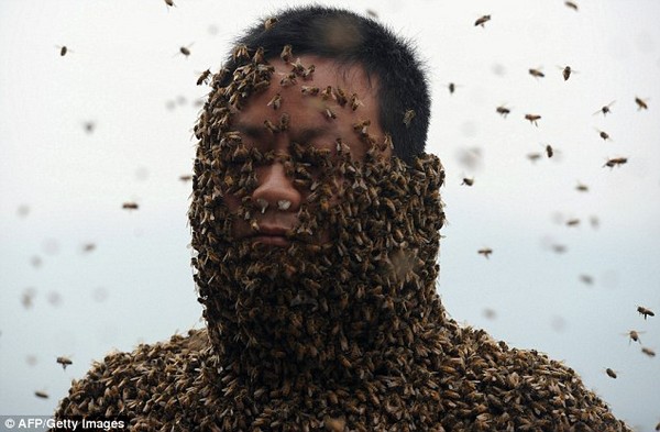 Méhember: 460,000 méhecske fedte be a férfit- videó