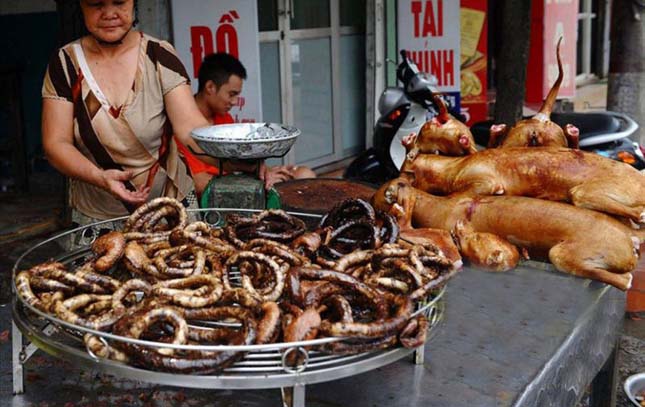 Csaknem tucatnyian kaptak börtönt Kínában mérgezett kutyahús eladása miatt