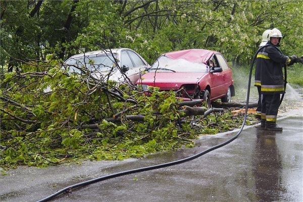 Vihar - Az úttestre dőlt fa miatt két autó ütközött Csongrádnál